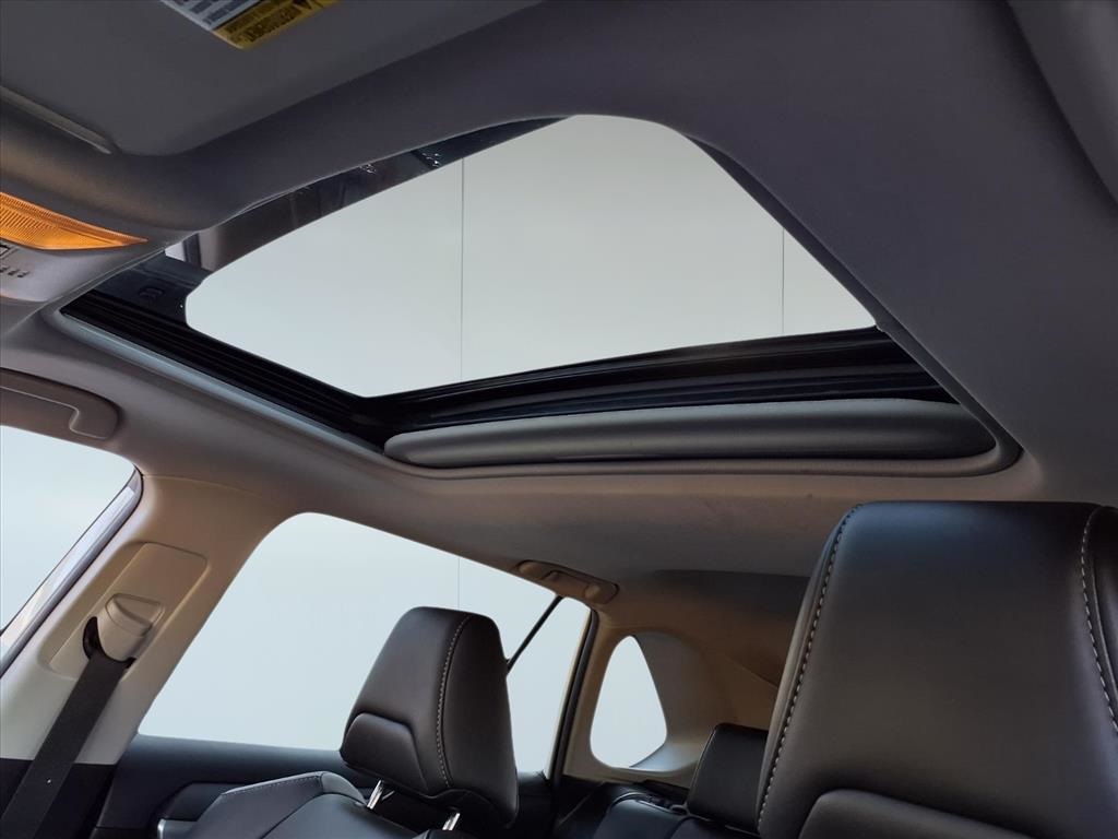 2019 Toyota RAV4 XLE Premium White at Emmons Autoplex