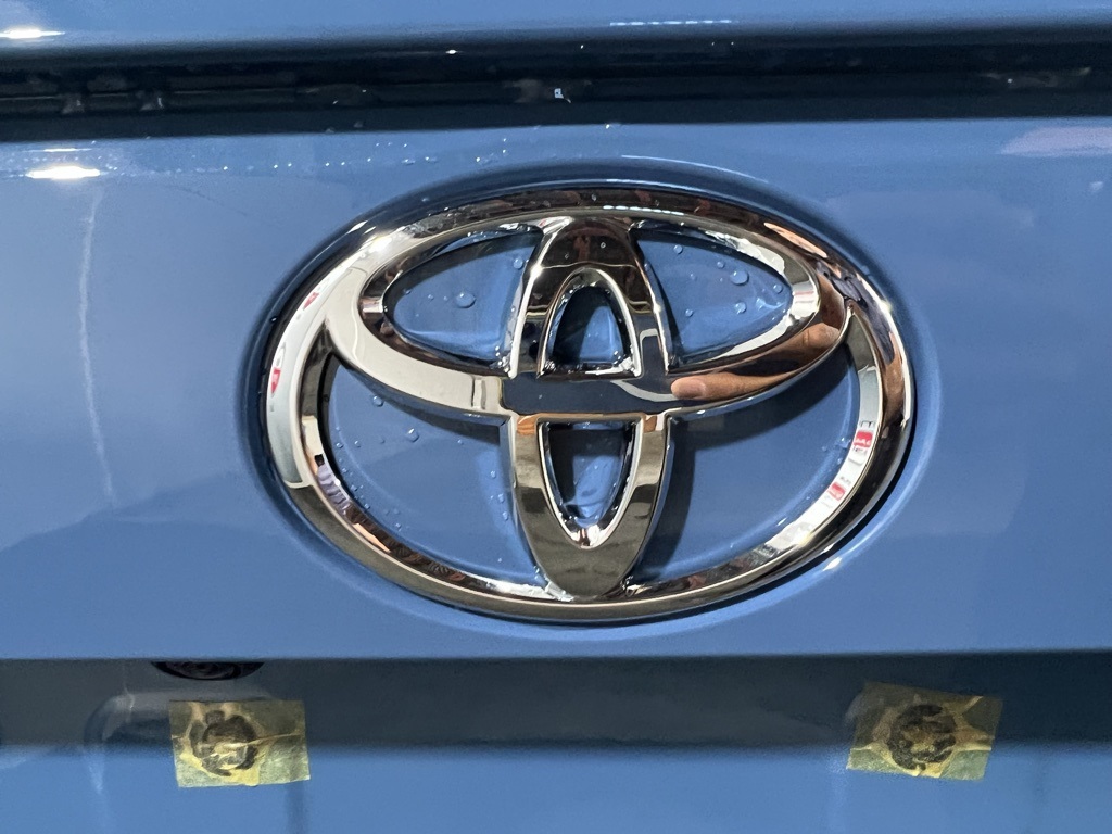 Thumbnail: 2025 Toyota RAV4 - 20