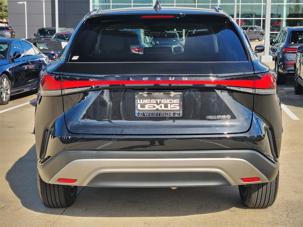 2023 Lexus RX 350 Luxury - 5