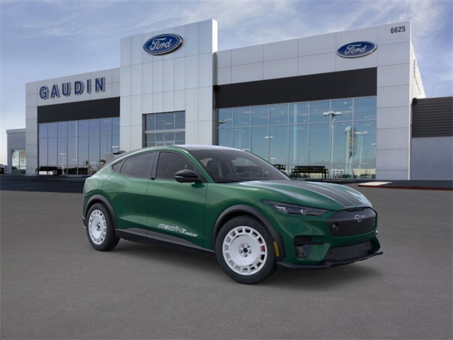  Ford Mustang Mach-E