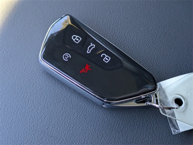 2026 Volkswagen Tiguan 2.0T SE R-Line Black Black at Stokes Volkswagen