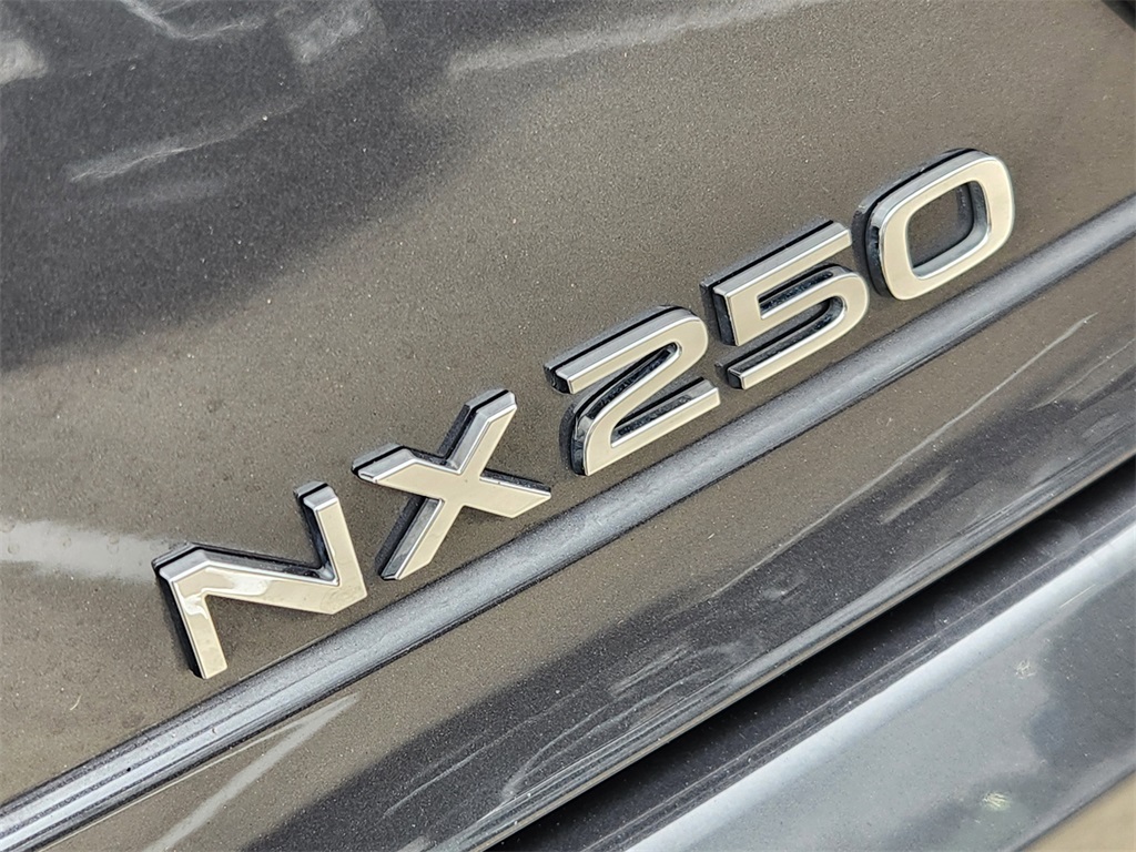 2025 Lexus NX 250 Base Gray at Westside Lexus