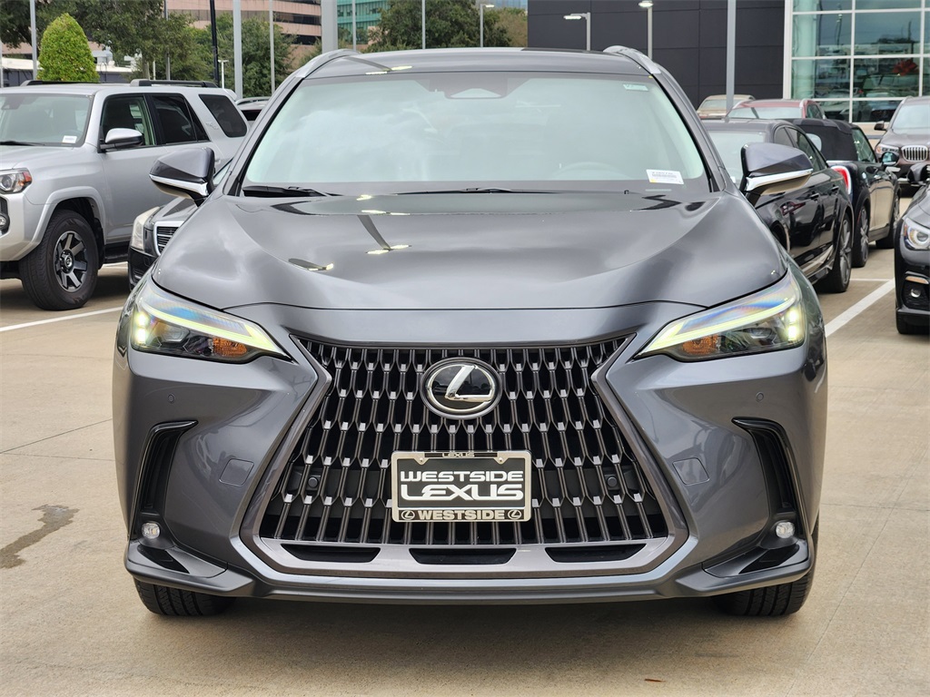 2025 Lexus NX 250 Base Gray at Westside Lexus