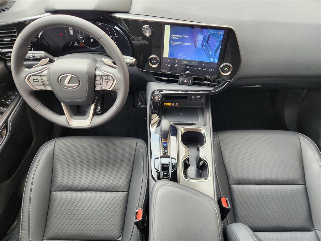 2025 Lexus NX 250 Base Gray at Westside Lexus