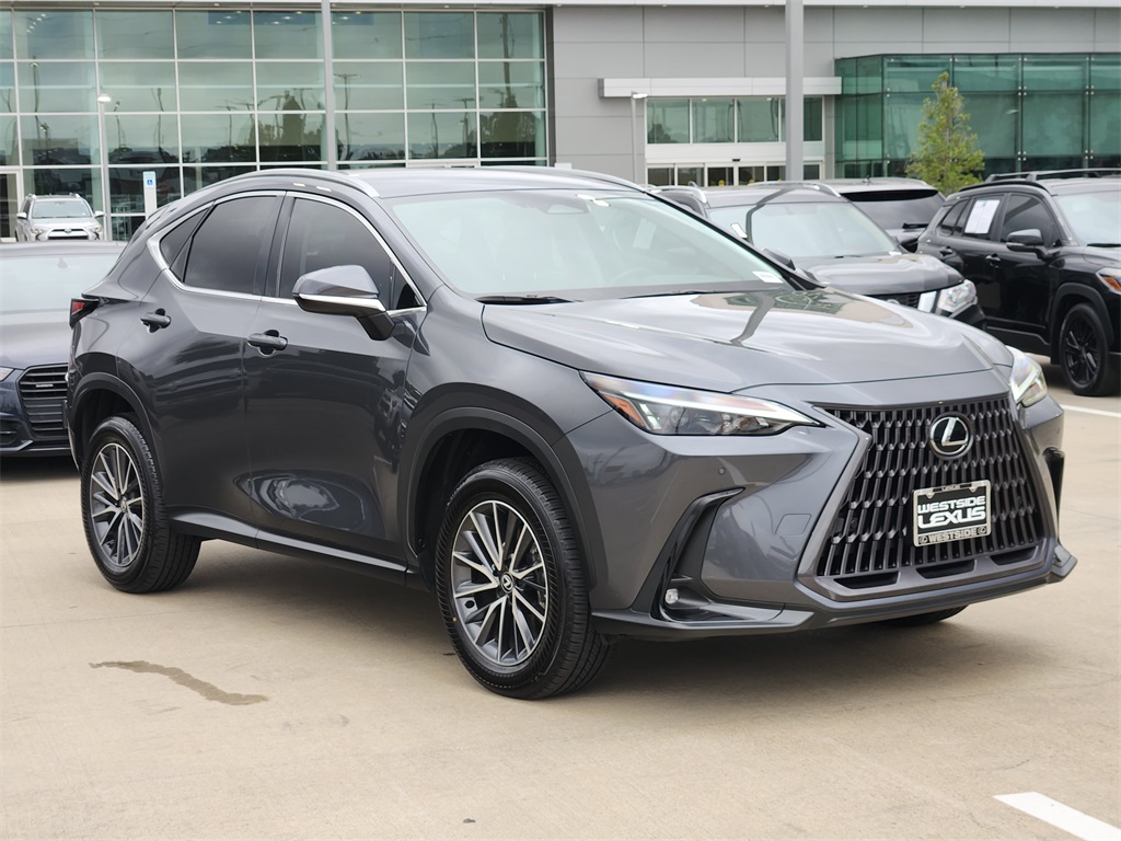 2025 Lexus NX 250 Base Gray at Westside Lexus