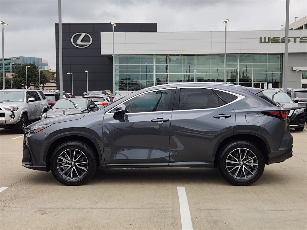 2025 Lexus NX 250 Base Gray at Westside Lexus