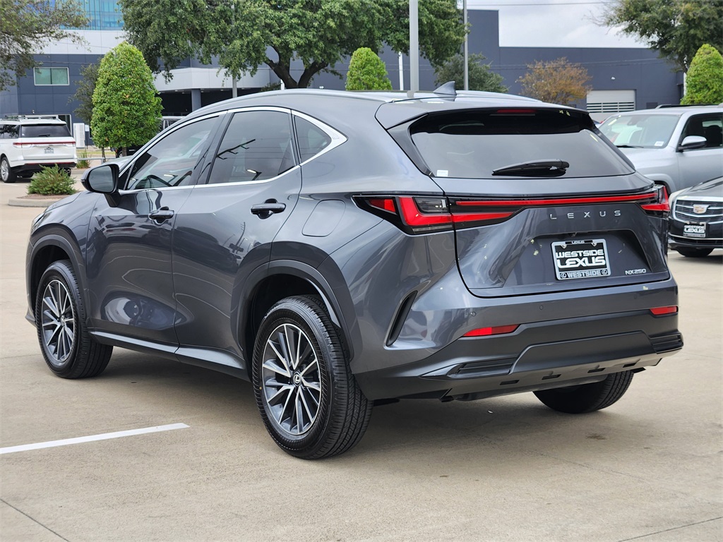 2025 Lexus NX 250 Base Gray at Westside Lexus
