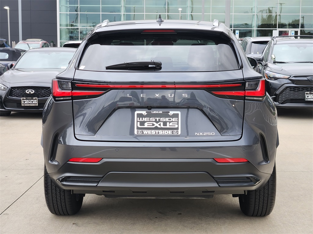 2025 Lexus NX 250 Base Gray at Westside Lexus