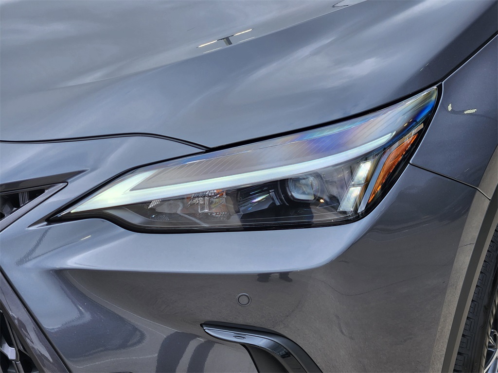 2025 Lexus NX 250 Base Gray at Westside Lexus