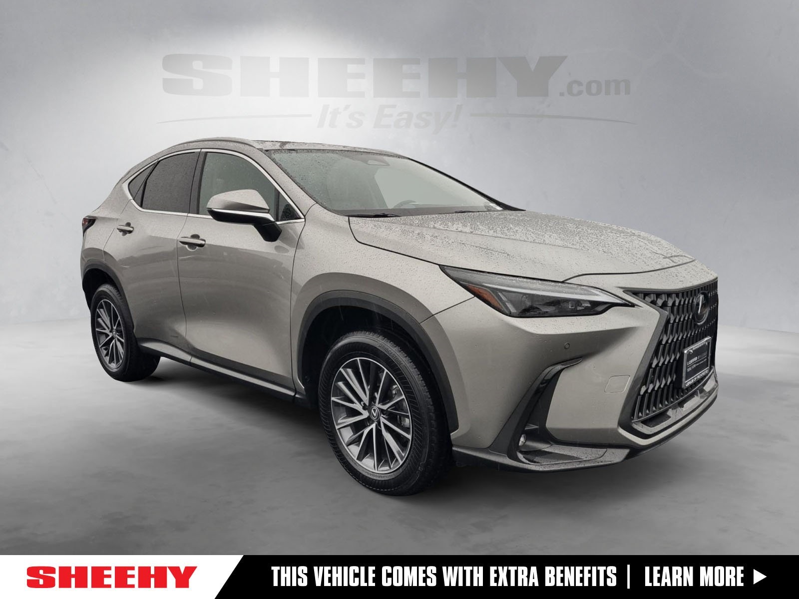 2025 Lexus NX 350 Premium AWD