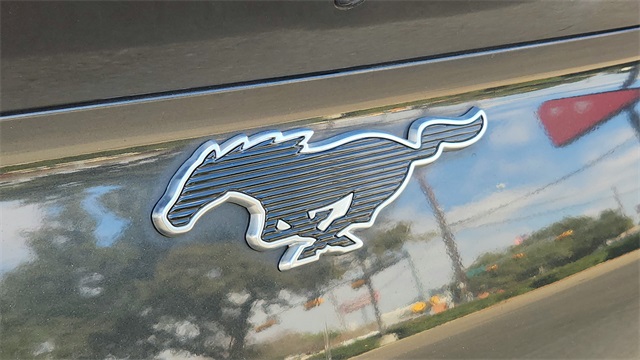 2021 Ford Mustang Mach-E