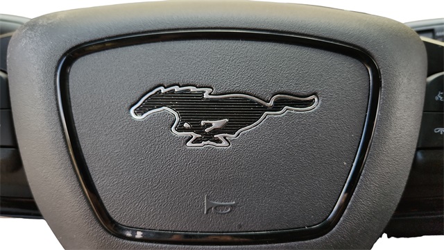 2021 Ford Mustang Mach-E