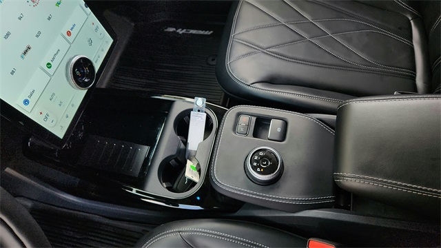 2021 Ford Mustang Mach-E