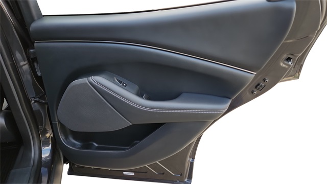 2021 Ford Mustang Mach-E