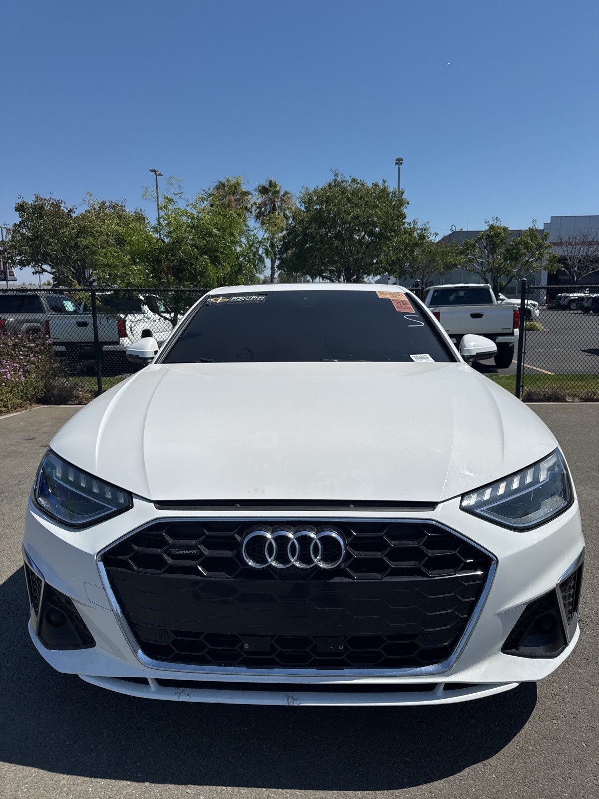 Car Picture