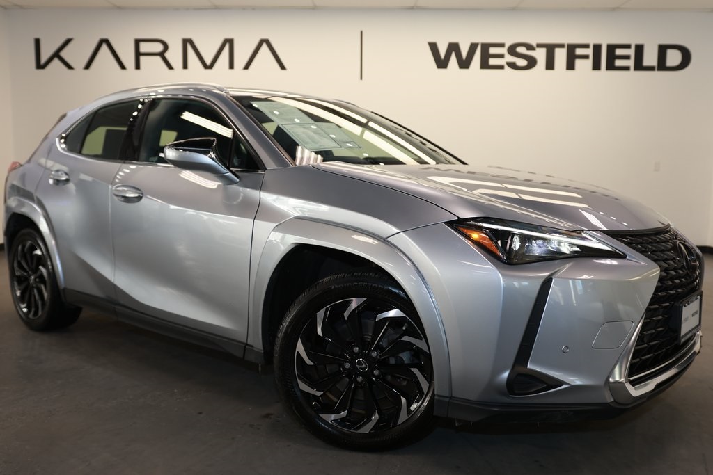 2023 Lexus UX Hybrid 250h Premium AWD