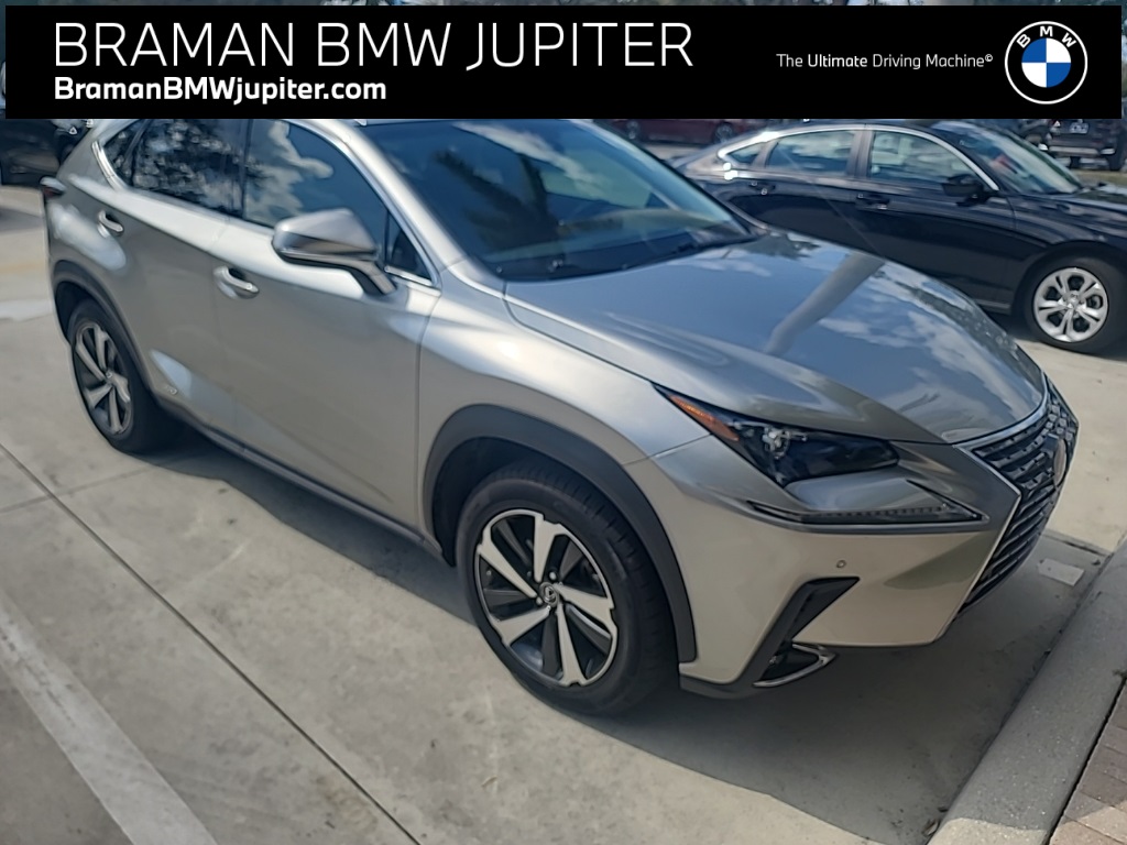 2019 Lexus NX Hybrid 300h AWD
