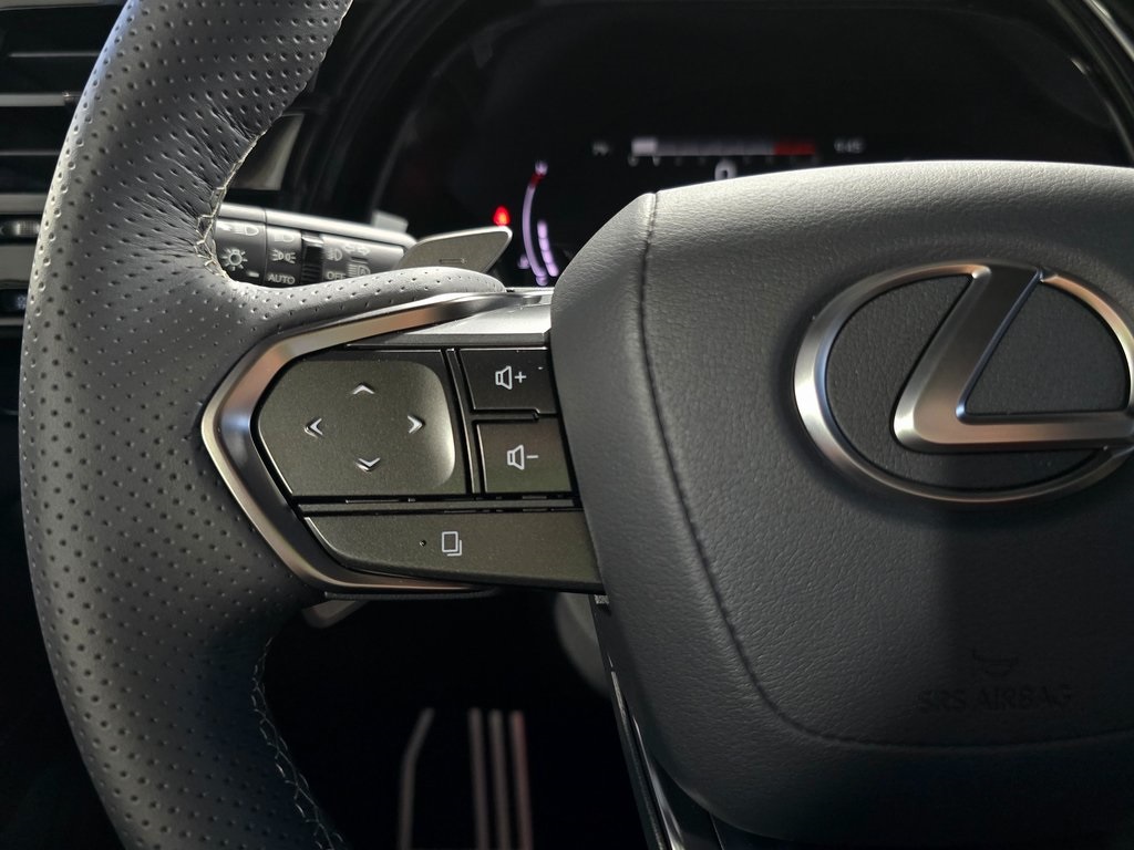 Thumbnail: 2025 Lexus RX - 14