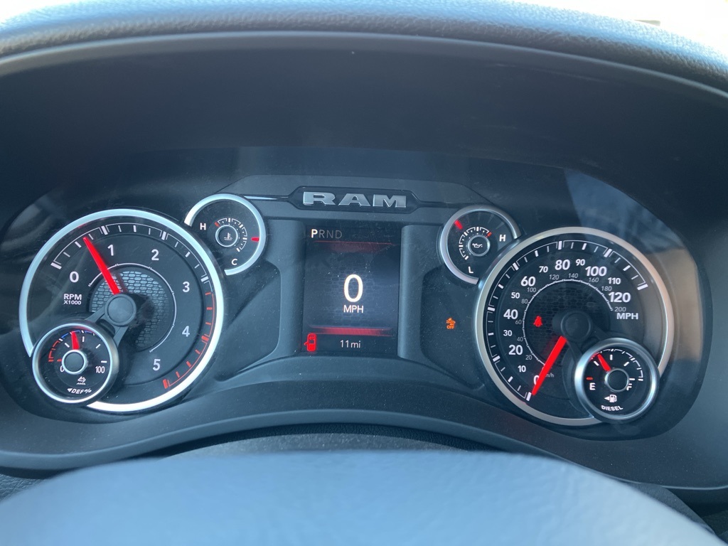 Ram250020