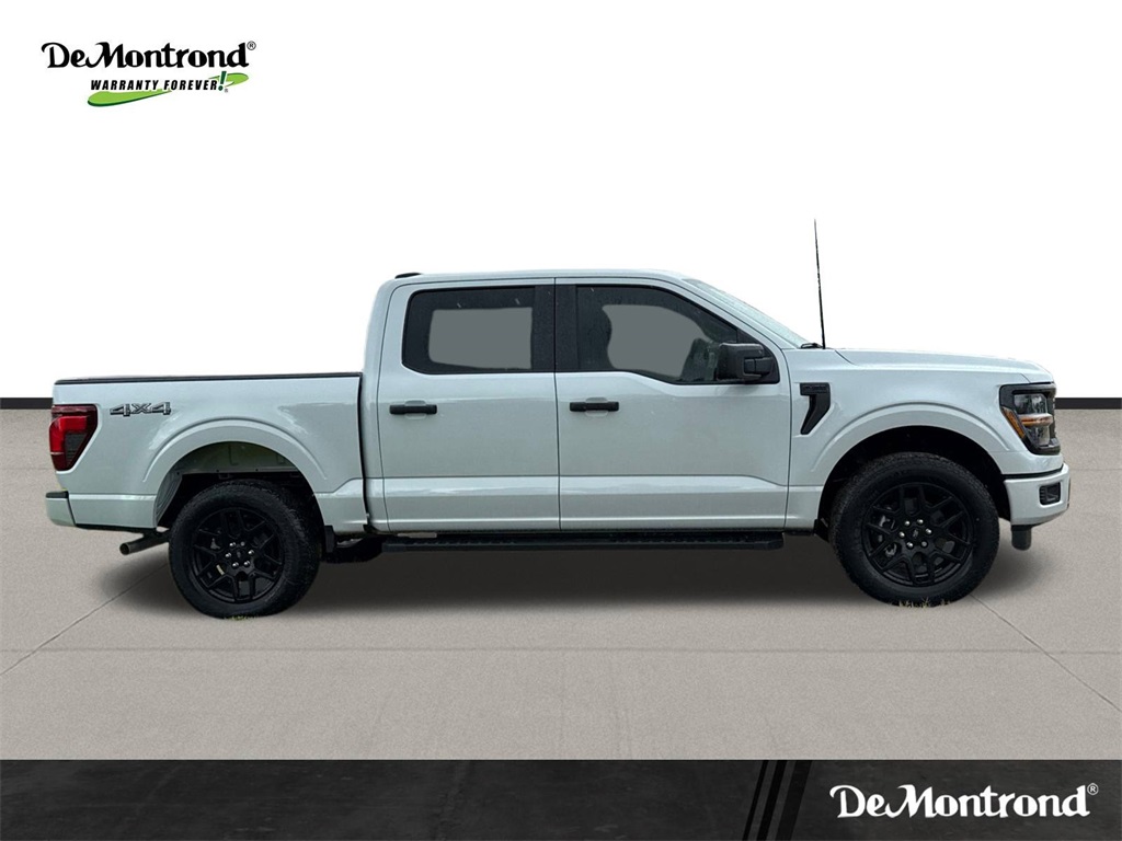 2025 Ford F-150 STX - 3