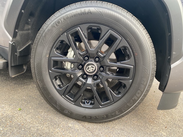 Used Car 2025 Toyota Sequoia  Limited For Sale Under $80,000 In San Antonio, Texas