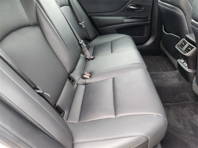 2020 Lexus ES 350 F Sport Silver at Emmons Autoplex