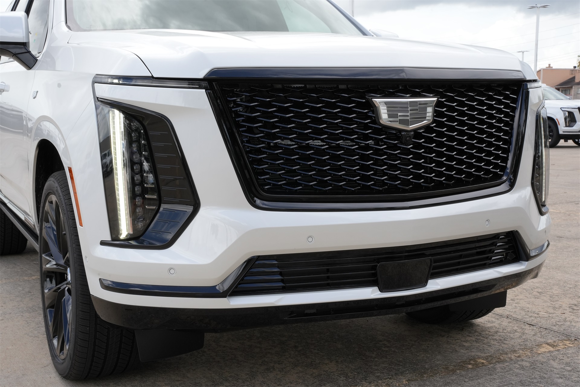 2025 Cadillac Escalade Sport Platinum White at Tom Peacock Cadillac