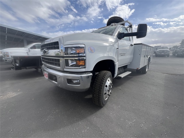 New Car 2024 Chevrolet Silverado 1500  Work Truck For Sale Under $60,000 In San Antonio, Texas