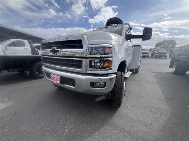 New Car 2024 Chevrolet Silverado 1500  Work Truck For Sale Under $60,000 In San Antonio, Texas