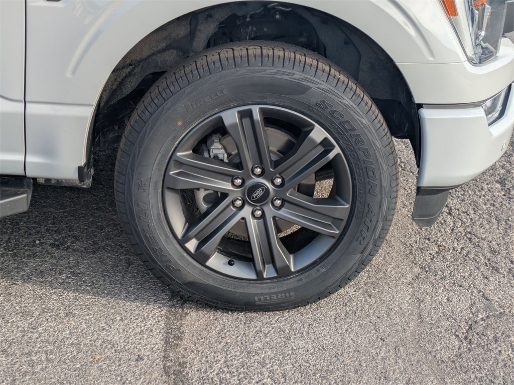 Used 2023 Ford F-150 For Sale in Findlay, OH