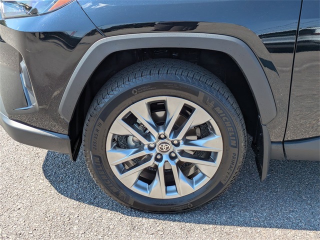2025 Toyota RAV4 XLE Premium Black at Davis Toyota of Orangeburg