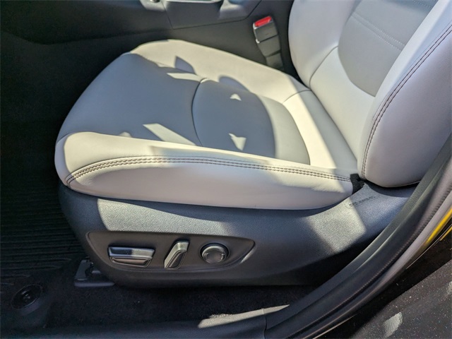 2025 Toyota RAV4 XLE Premium Black at Davis Toyota of Orangeburg