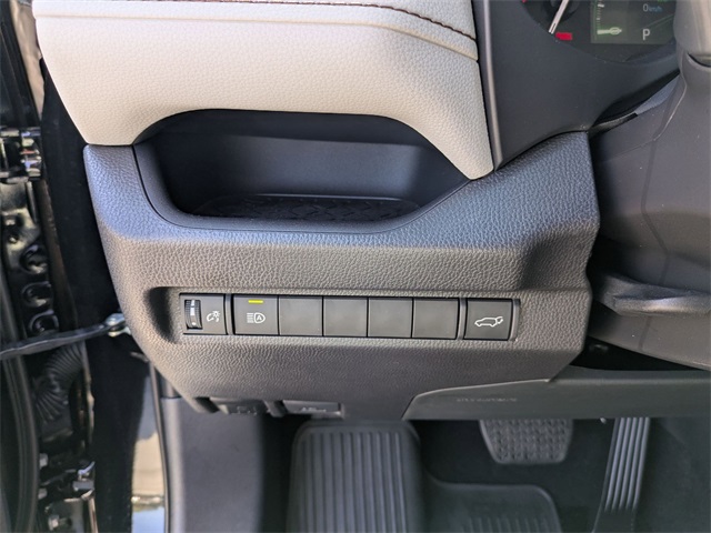 2025 Toyota RAV4 XLE Premium Black at Davis Toyota of Orangeburg