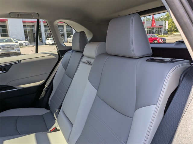 2025 Toyota RAV4 XLE Premium Black at Davis Toyota of Orangeburg