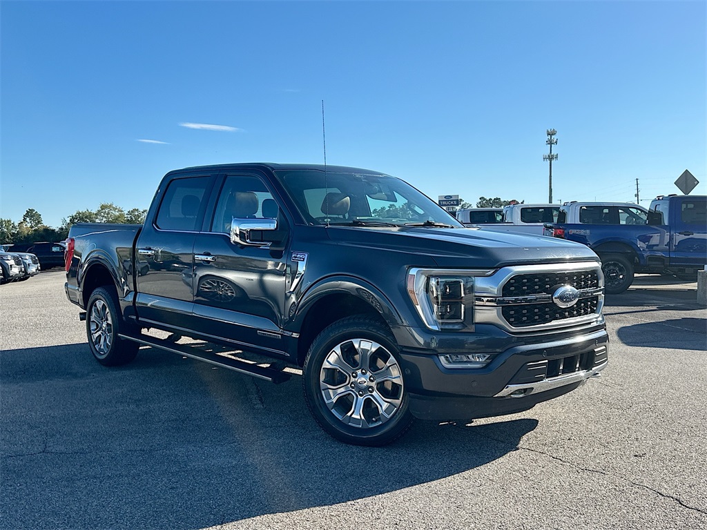 2021 Ford F-150 Platinum 2021 Ford F-150 Platinum