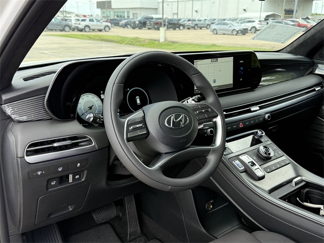 2025 Hyundai Palisade Calligraphy Night Edition - 10