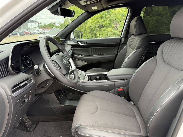 2025 Hyundai Palisade Calligraphy Night Edition - 11