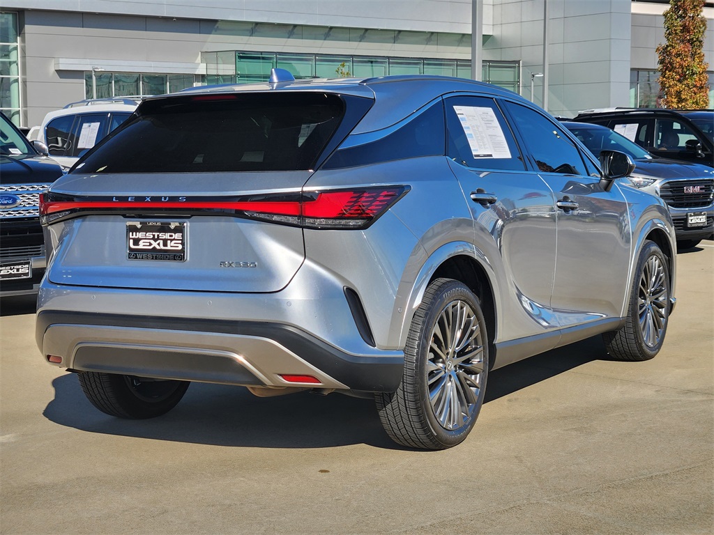 2023 Lexus RX  - 6