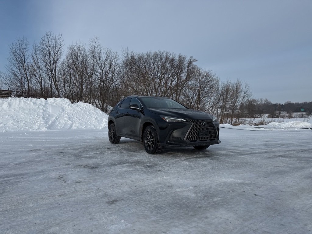 2022 Lexus NX 250's photo
