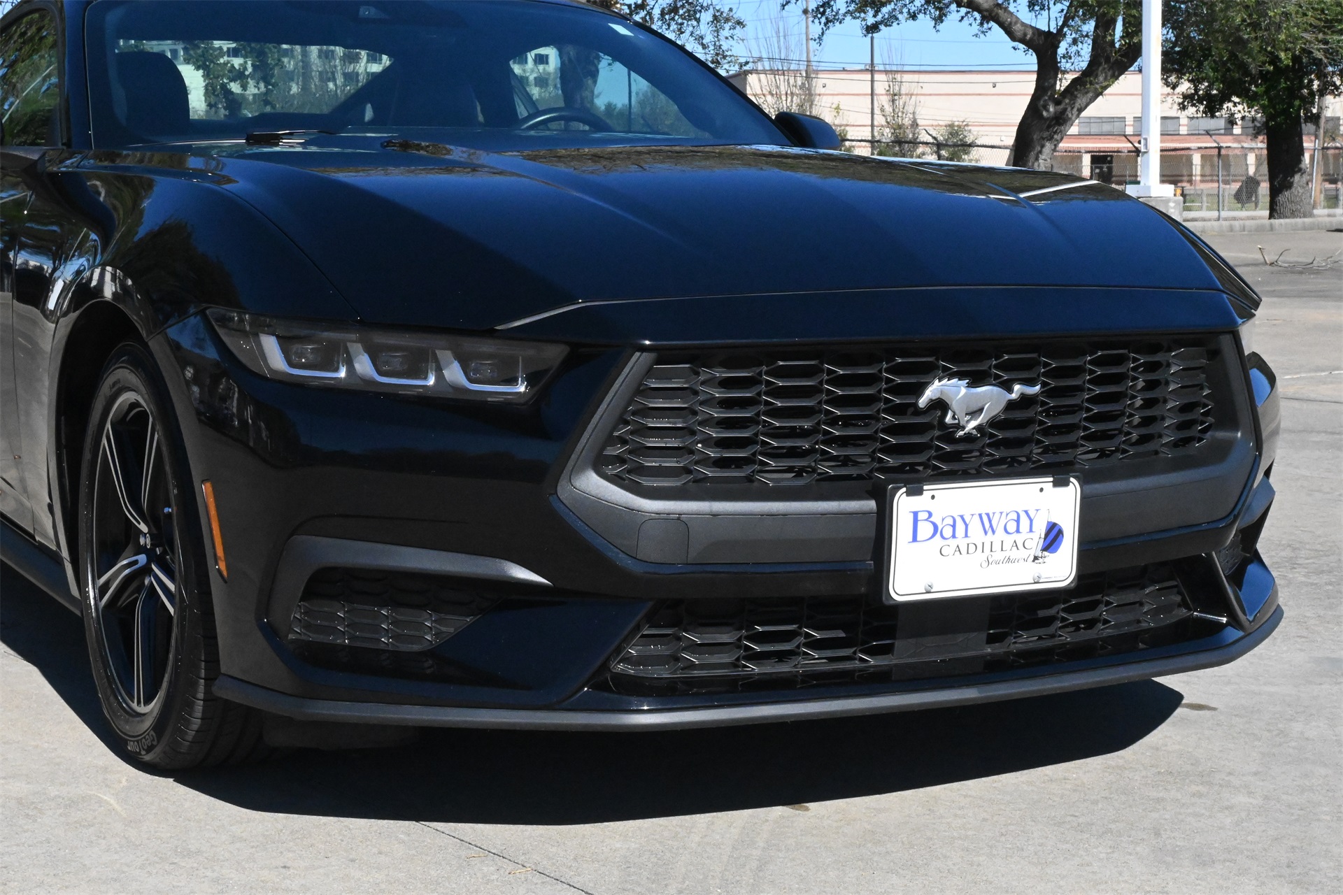 2024 Ford Mustang EcoBoost Premium Black at South Houston Nissan