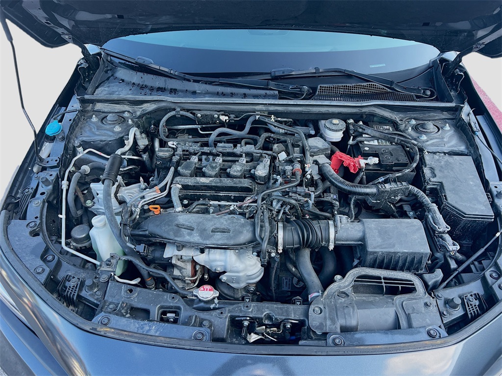 2024 Honda Civic EX-L Gray at Emmons Autoplex