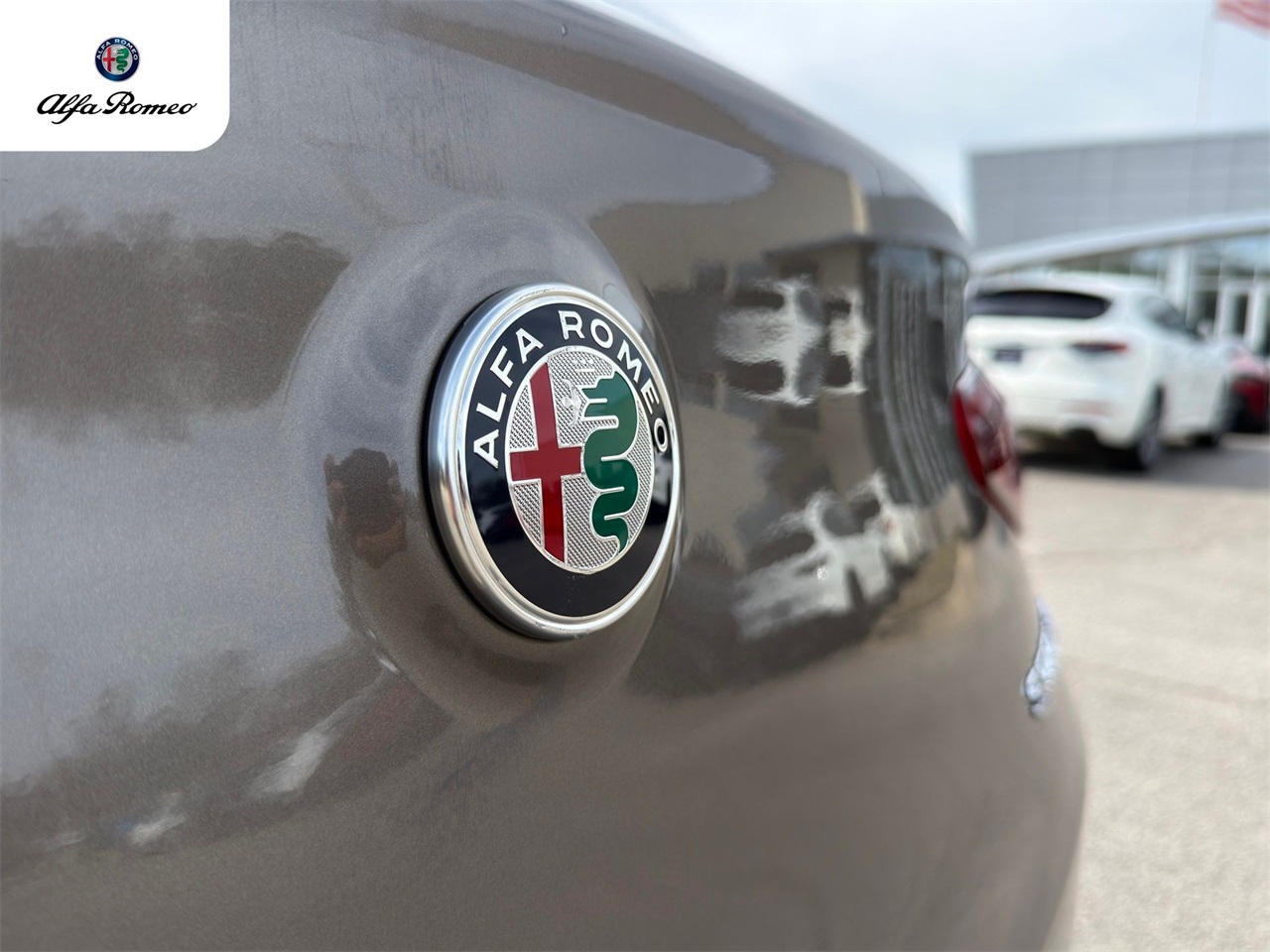 Used Car 2019 Alfa Romeo Stelvio  Ti For Sale Under $25,000 In Austin, Texas