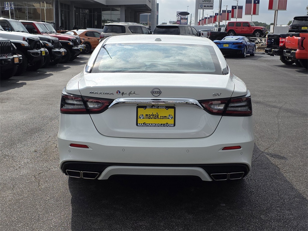 2023 Nissan Maxima SV White at Big Star Chrysler Jeep Dodge Ram 