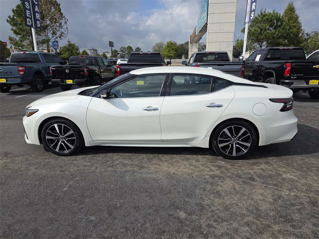 2023 Nissan Maxima SV White at Big Star Chrysler Jeep Dodge Ram 