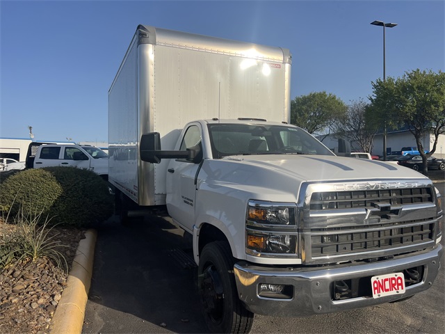 New Car 2024 Chevrolet Silverado 1500  Work Truck For Sale Under $50,000 In San Antonio, Texas