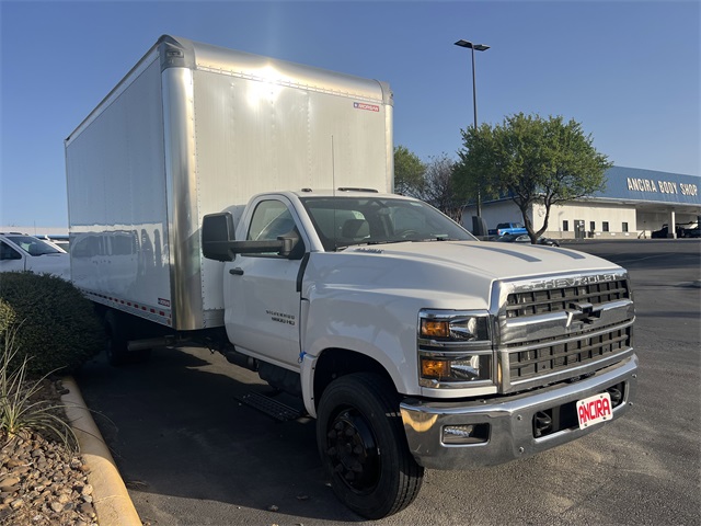New Car 2024 Chevrolet Silverado 1500  Work Truck For Sale Under $50,000 In San Antonio, Texas