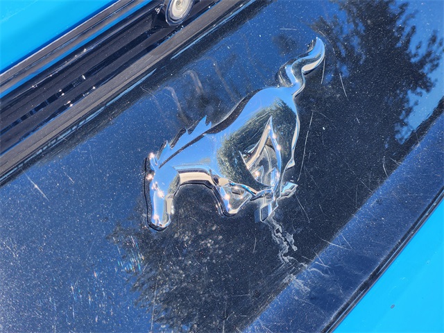 2017 Ford Mustang EcoBoost Blue at Emmons Autoplex