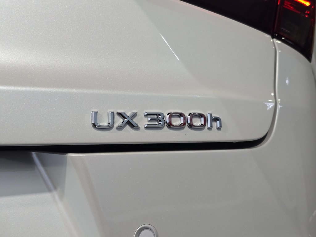 Thumbnail: 2025 Lexus UX - 11