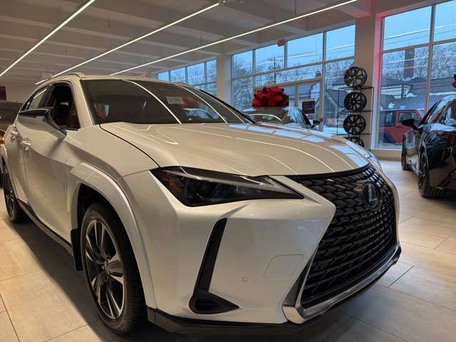 2025 Lexus UX Hybrid 300h Premium AWD