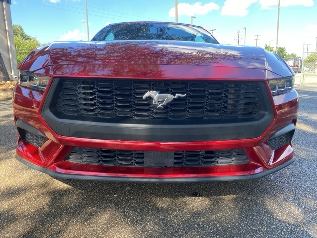 Used Car 2024 Ford Mustang  Ecoboost Premium For Sale In San Antonio, Texas